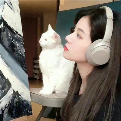 边关夜未央